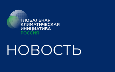 Российские компании обсудили результаты COP28 на международном круглом столе CGI Russia