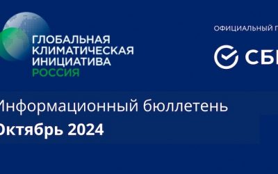 Информационный бюллетень • Октябрь 2024